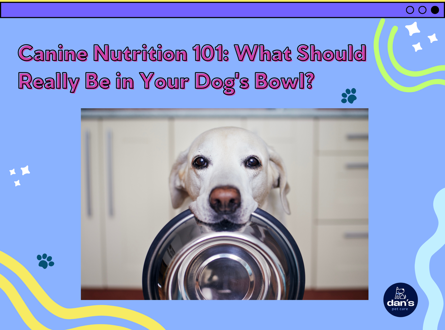 Dog nutrition and food bowl information
