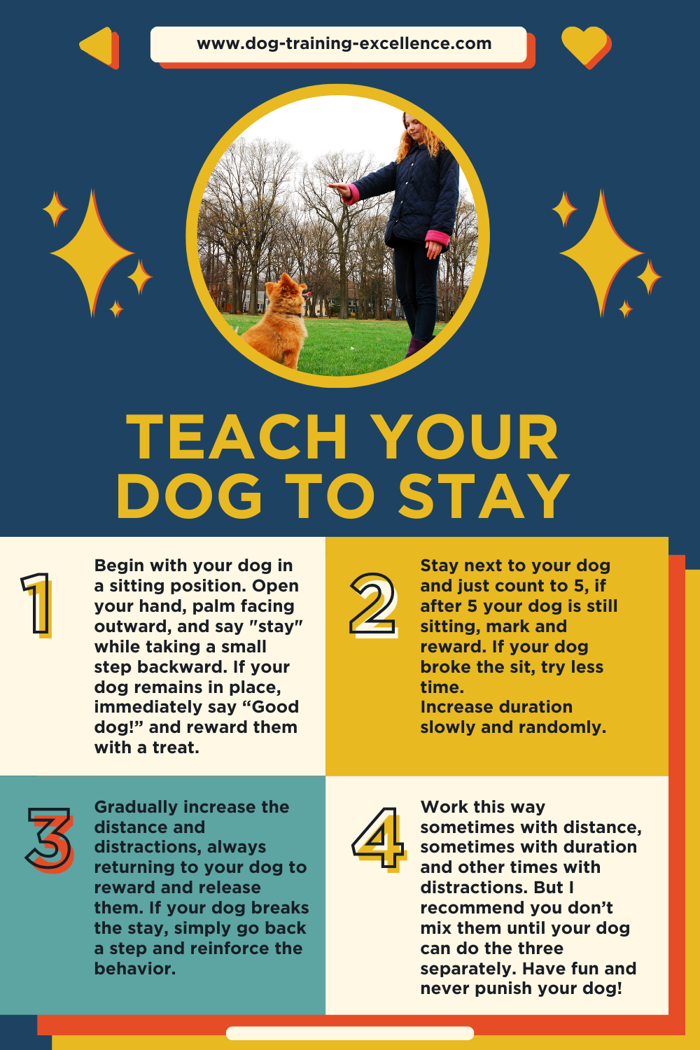 Dog training infographic showing stay command