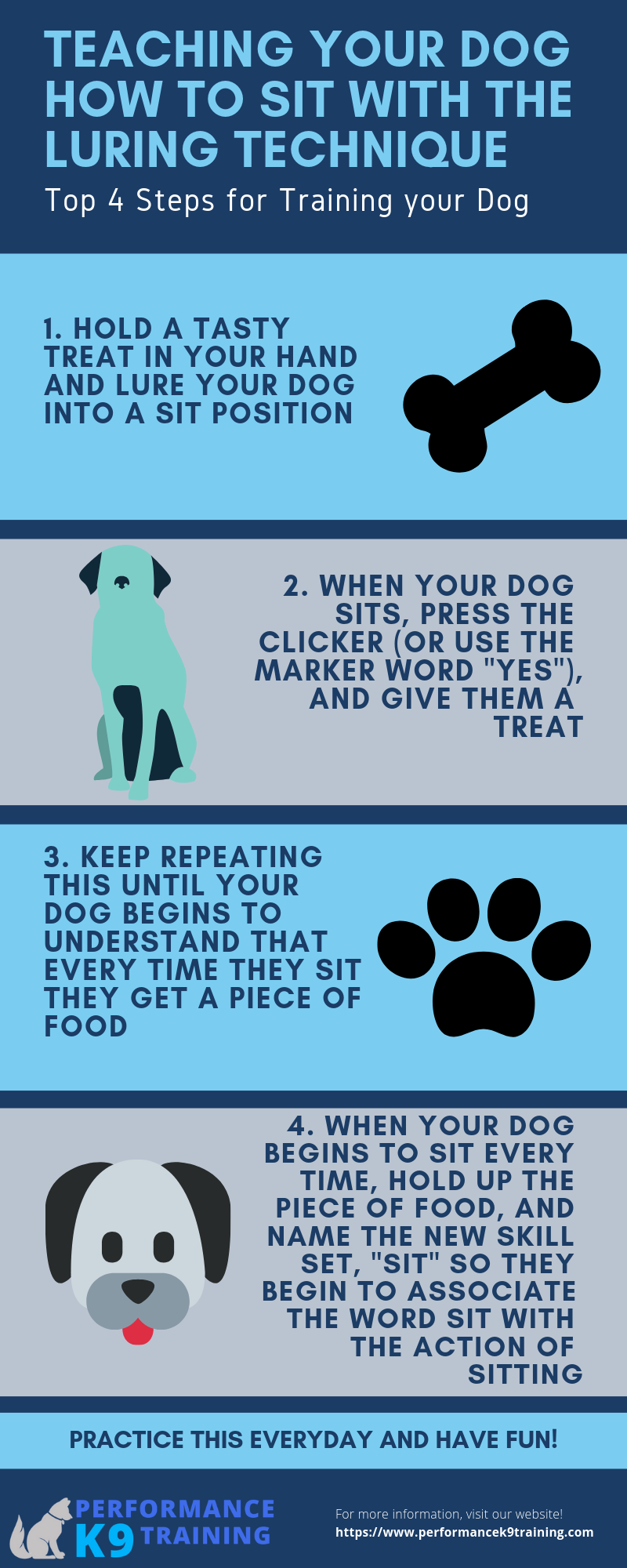 Dog training sit command technique