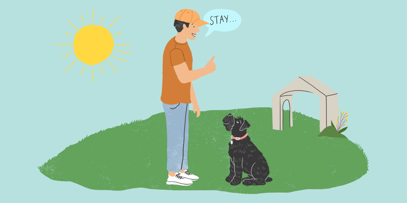 Dog training session with stay command
