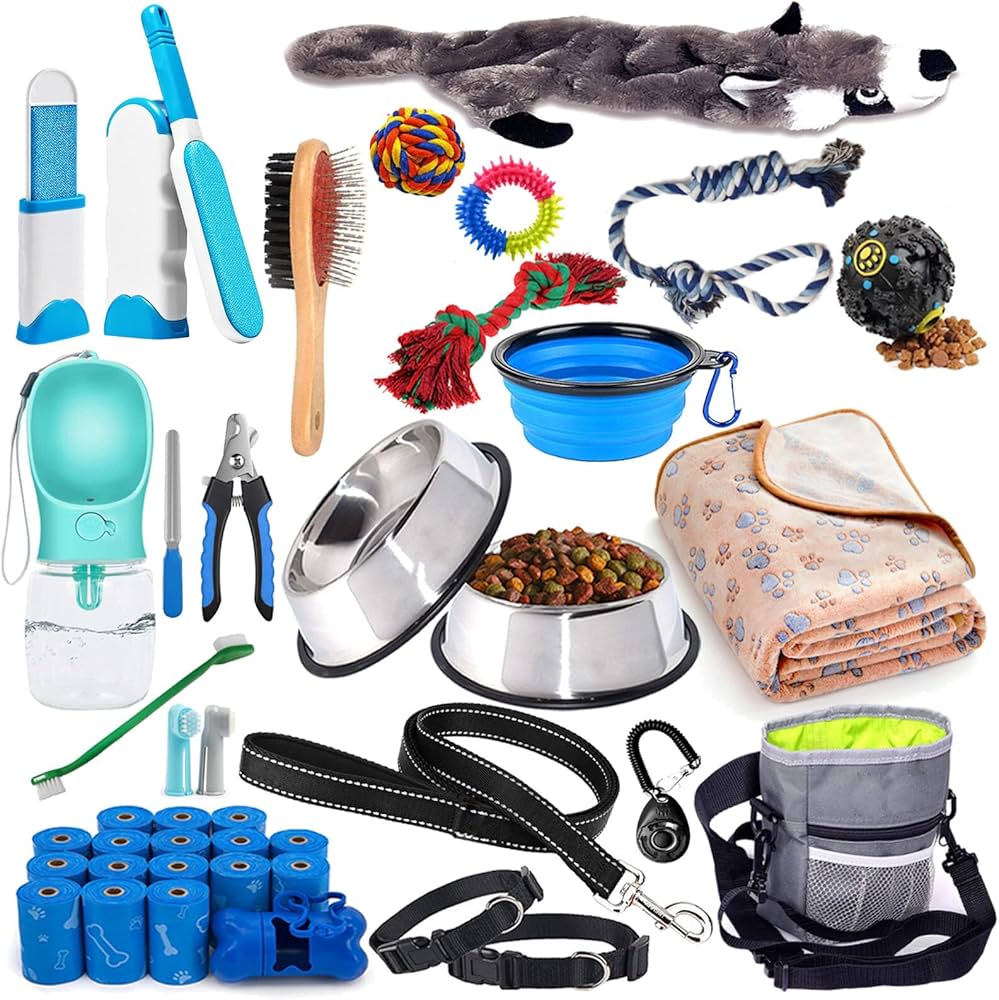 Collection of pet products and tools